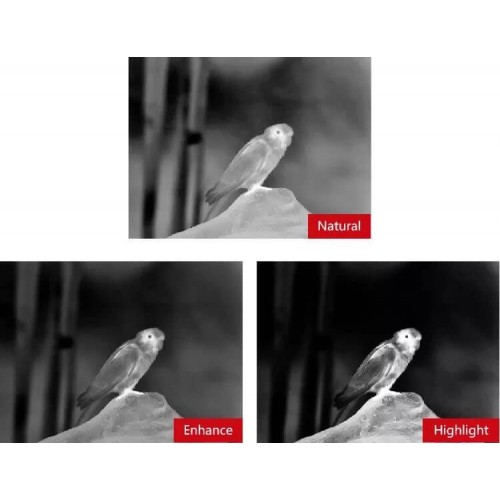 Тепловизионный бинокуляр Guide TN430 400х300, ø35мм, лазерный дальномер в Сочи