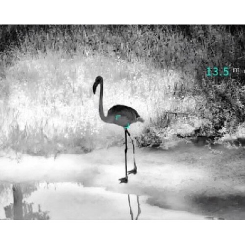 Тепловизионный бинокуляр Guide TN430 400х300, ø35мм, лазерный дальномер в Сочи