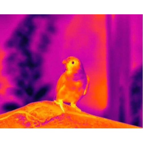 Тепловизионный бинокуляр Guide TN430 400х300, ø35мм, лазерный дальномер в Сочи